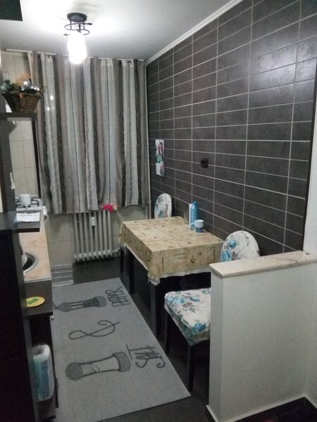 Teiul Doamnei, Doamna Ghica