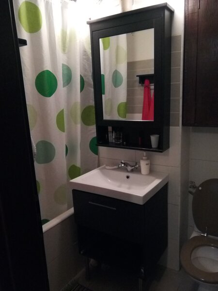 Teiul Doamnei, Doamna Ghica