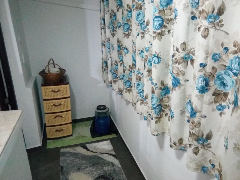 Teiul Doamnei, Doamna Ghica