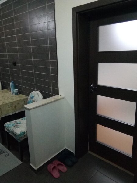 Teiul Doamnei, Doamna Ghica