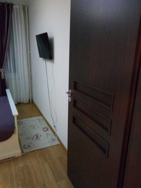 Teiul Doamnei, Doamna Ghica