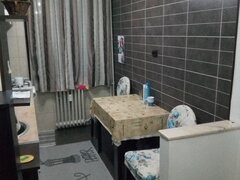 Teiul Doamnei, Doamna Ghica