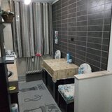 Teiul Doamnei, Doamna Ghica